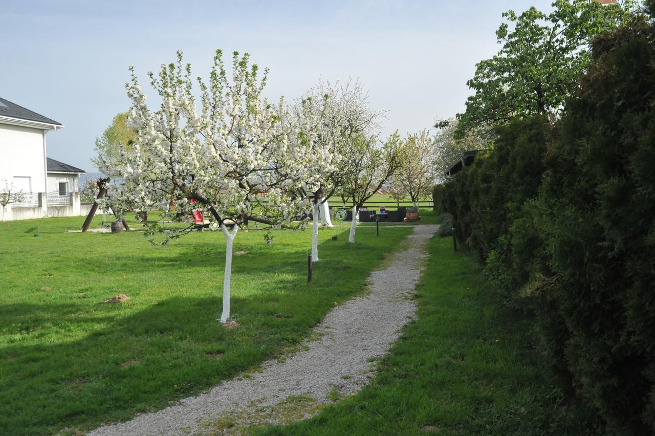 Klet Cinkus Bed & Breakfast Hrvatski Leskovac Bagian luar foto